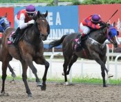 Cavallo (white sleeves) comes with a sweeping run to race away to an easy win on Sunday.<br>Photo by Singapore Turf Club